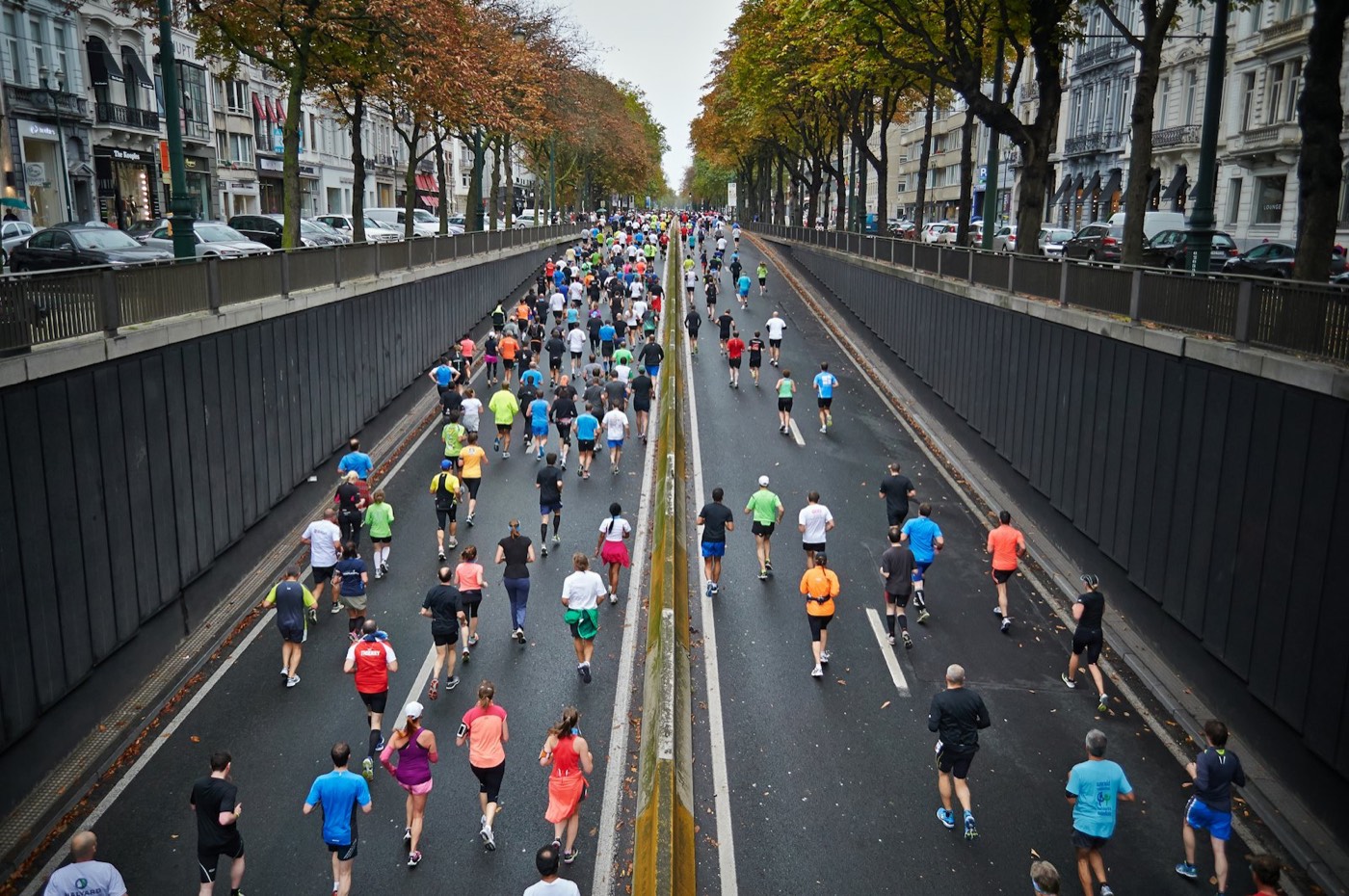 Runners streaming down a tree-lined city road during a big race